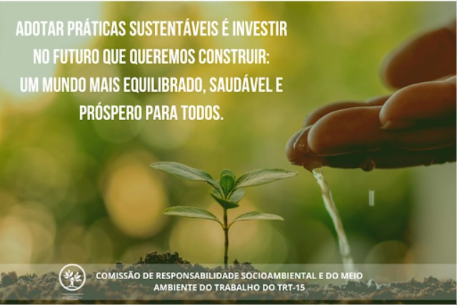 No momento você está vendo TRT-15 estimula plantio de mudas em setembro
