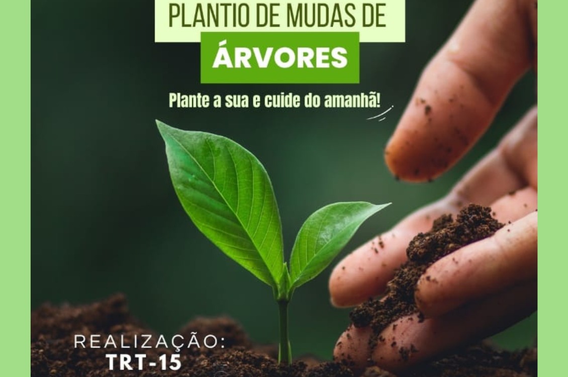 No momento você está vendo FT de Ribeirão Preto e Comissão de Responsabilidade Socioambiental da 15ª celebram Dia da Árvore 