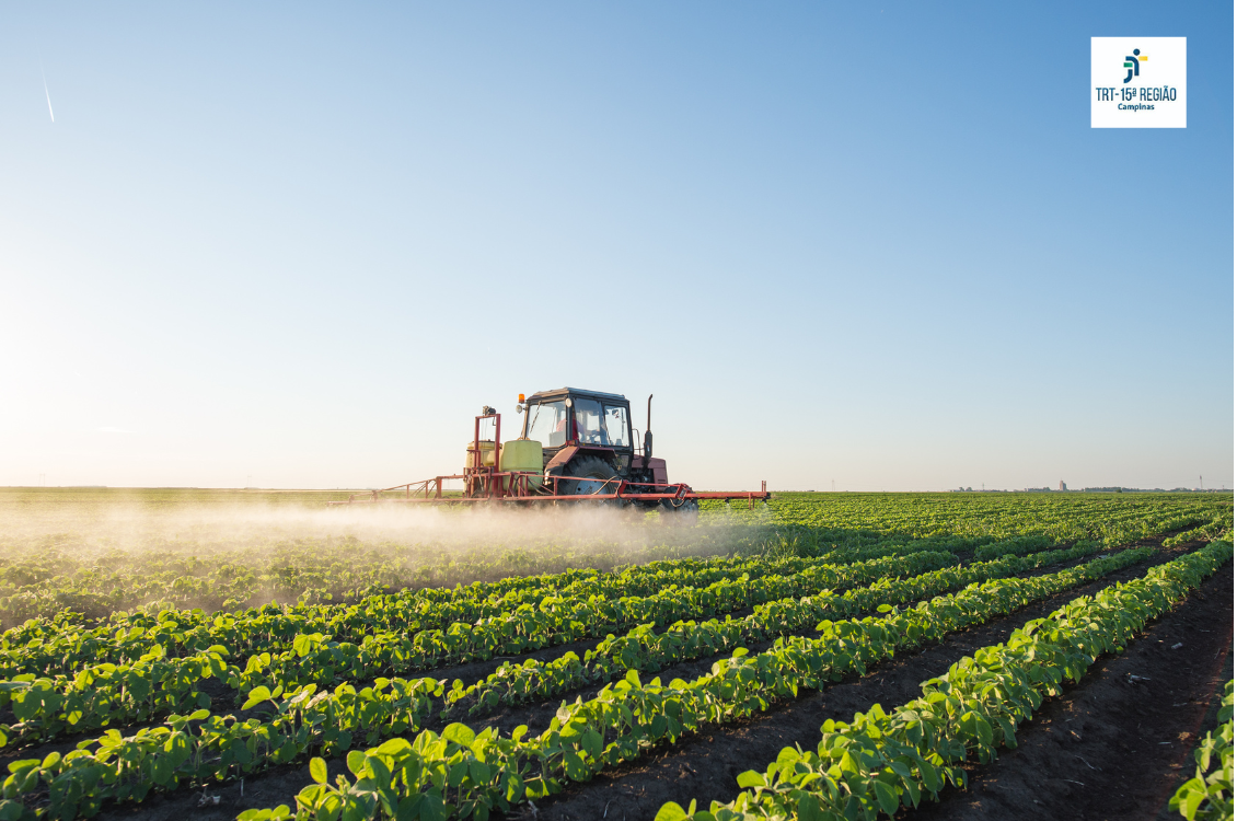 No momento você está vendo 2º Câmara do TRT-15 eleva indenização para filha de trabalhador rural morto por atropelamento