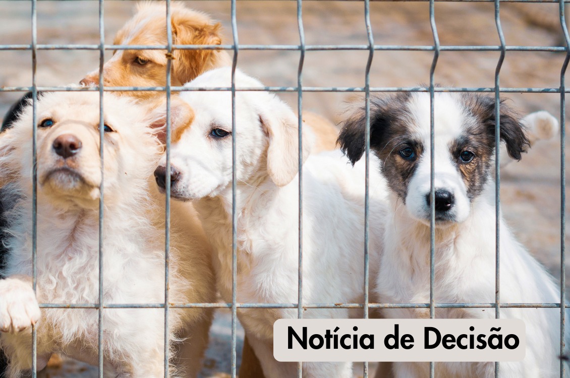 No momento você está vendo Maus-tratos a animais resultam em demissão por justa causa