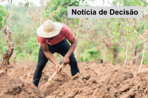 Leia mais sobre o artigo 11ª Câmara anula sentença e determina reabertura de instrução para apuração de horas in itinere em trabalho rural