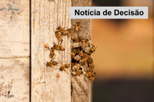 Leia mais sobre o artigo 7ª Câmara nega indenização à família de agente ambiental morto por ataque de abelhas