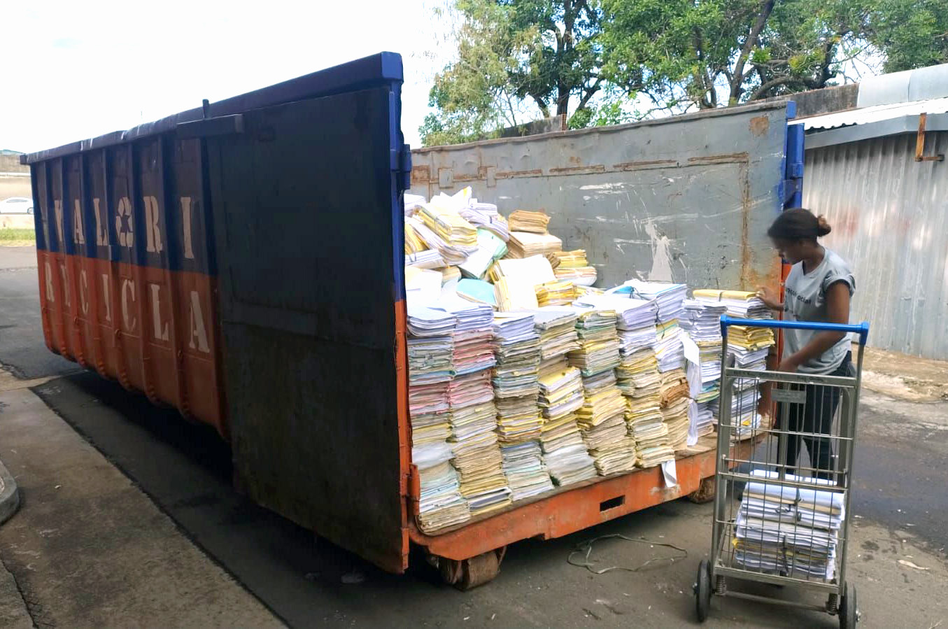 No momento você está vendo TRT-15 destina mais 30 toneladas de papel para cooperativa de reciclagem, reforçando compromisso socioambiental
