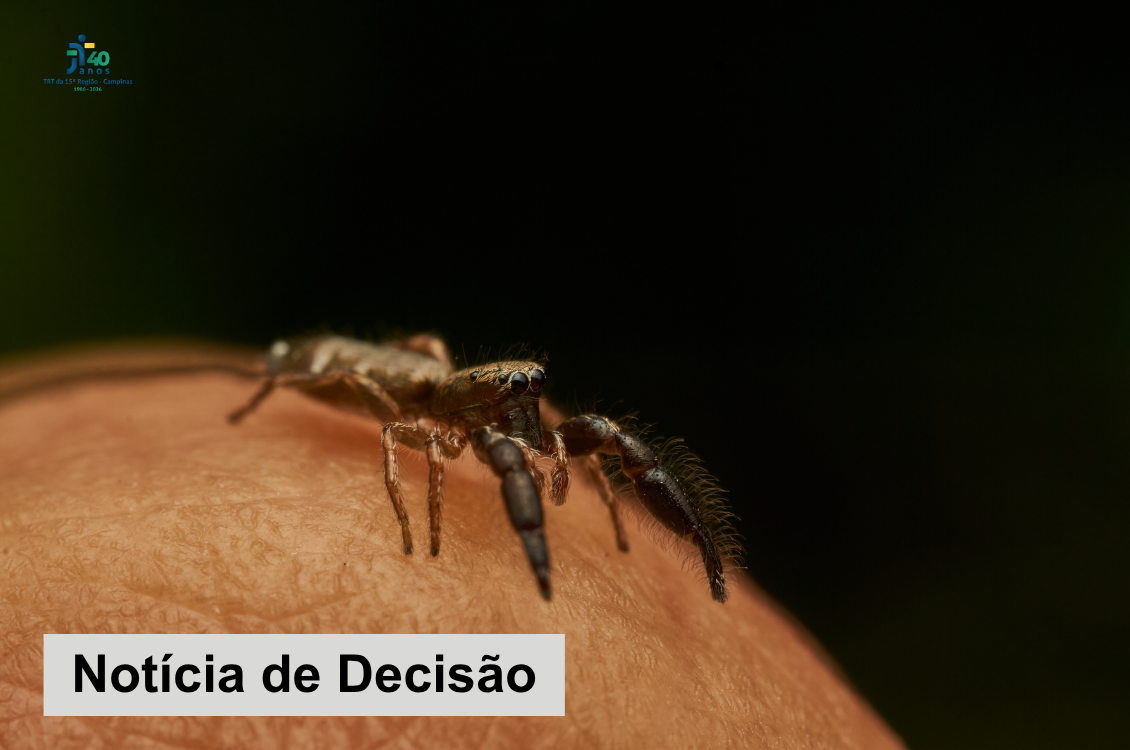 No momento você está vendo 3ª Câmara nega indenização a trabalhador picado por aranha